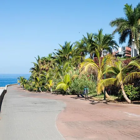 Ocean Garden Renting * Costa Adeje (Tenerife)